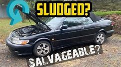 Should I buy another Saab 9-3 with a BLOWN ENGINE? #SAABSLUDGE