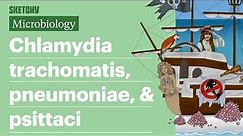 Chlamydia trachomatis, pneumoniae, & psittaci | USMLE Step 1 | Sketchy Medical