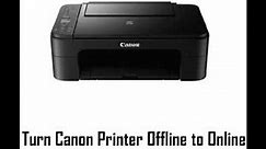 How to turn Canon Printer Offline to Online?
