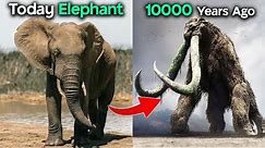 7 Giant Animals that are EXTINCT | Part-3