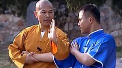Shaolin Kung Fu: 32 fighting techniques