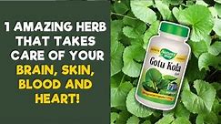 Gotu Kola Benefits -12 Amazing Health Benefits of Gotu Kola