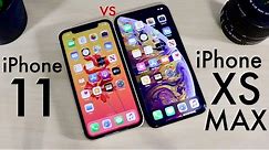 iPhone 11 Vs iPhone XS Max! (Comparison) (Review)