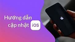 [Video] Cách cập nhập iOS trên iPhone lên phiên bản mới nhất đơn giản - Thegioididong.com