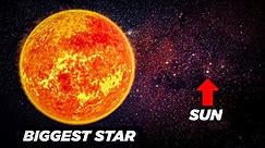 The Largest Star in the Universe Compared to us