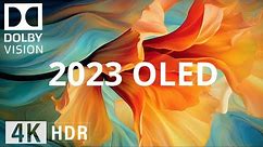2023 OLED DEMO | 4K Dolby Vision | HDR 60fps