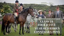 Class Twenty Four 4 & 5 Year Old Ridden Connemara Pony | 98th Annual Connemara Pony Show