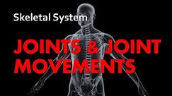 Joints & Joint Movements | Skeletal System 05 | Anatomy & Physiology