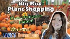 Big Box Store Plant Shopping! Clearance Plants and Tons of Pothos! 3 Locations!