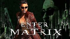 Enter The Matrix Review - Gggmanlives