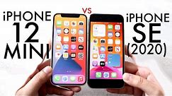 iPhone 12 Mini Vs iPhone SE 2020! (Comparison) (Review)