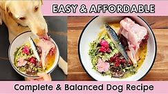 Dog Food Recipe 🐶 Easy, Affordable, Complete and Balanced (AAFCO)