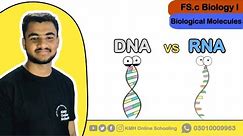 Difference between DNA & DNA | Comparison between DNA & RNA | DNA vs RNA | Biology Lectures