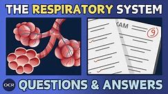 The respiratory system (1.4) - OCR GCSE PE - Exam questions and model answers