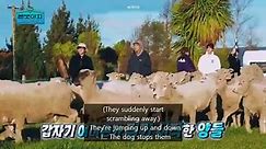 [ENG SUB] BTS - Bon Voyage S4 E2 - video Dailymotion