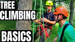 Tree Climbing Basics. What Equipment Do I Need To Climb a Tree / Basic Gear / Stan Dirt Monkey