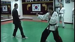 Hapkido Fighting Techniques