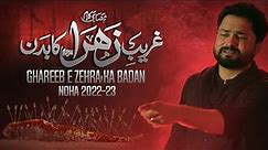 Ghareeb e Zehra Ka Badan | Syed Raza Abbas Zaidi | Nohay 2022 | Muharram 2022 |1444 | New Noha 2022