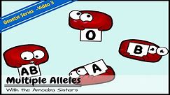 Multiple Alleles (ABO Blood Types) and Punnett Squares