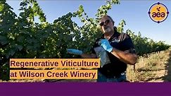 Regenerative Viticulture at Wilson Creek Winery & Vineyards | Greg Pennyroyal, Vineyard Manager