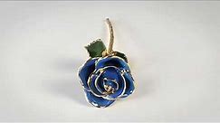 Infinity Rose – Light Blue Two-Tone Rose Dipped in Real Gold