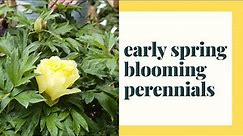 Early Spring Blooming Perennials