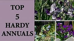 Top 5 kwiatów jednorocznych odpornych na przymrozki czyli moje ulubione Hardy Annuals / MrsGarden