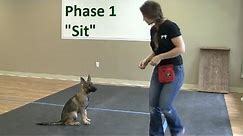 How to Train a Dog to "Sit" (K9-1.com)