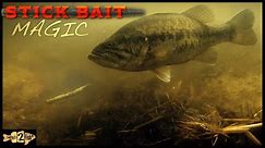 How to Fish Soft Stick Baits for Shallow Bass