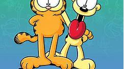 Garfield and Friends: Season 3 Episode 2 Astrocat/Cinderella Cat