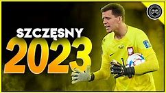 Wojciech Szczęsny 2022/23 ● The Savior ● Impossible Saves | HD