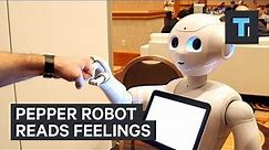 Pepper Robot reads feelings
