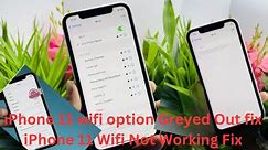 iphone 11 wifi option Greyed Out fix/iPhone 11 Wifi Not Turning On