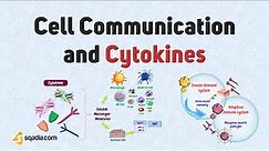 Cell Communication and Cytokines | Basic Immunology Introduction