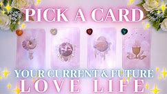Your Current & Future Love Life (Full Reading)