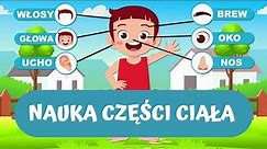 Nauka Części Ciała Dla Dzieci I Poznajemy Ciało Człowieka I Bajka Edukacyjna Po Polsku