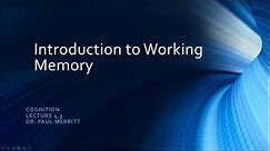 Cognition 4 3 Introduction to Working Memory