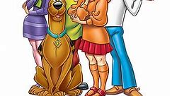 The New Scooby-Doo Movies: The (Almost) Complete Collection Episode 2 The Dynamic Scooby-Doo Affair