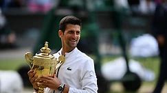 Novak Djokovic's path to greatness