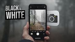How to Take Black and White Photos on iPhone (Full Guide)