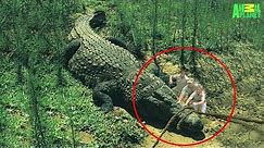 7 Largest Crocodiles Ever Recorded