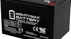 Mighty Max Battery 12V 12AH SLA Battery Replacement for Long Way LW-6FM10