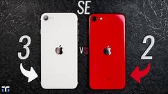 iPhone SE 2022 vs iPhone SE 2020: Worth The Upgrade?