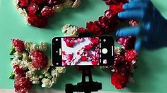 Shot on iPhone 12 — Everyday Experiments- Full Bloom | Apple