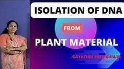 Isolation of DNA /CBSE Biology practicals/ class12 experiment/DNA isolation/viva voce.