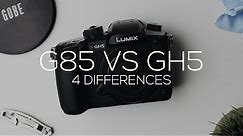 Panasonic G85 VS GH5 || 4 Differences! || Handling, Video Codecs, Dual SD, High Frame Rates