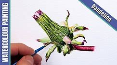 Dandelion Seed Head in Watercolour with Paul Hopkinson