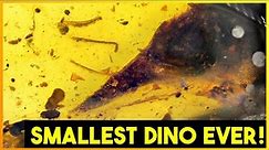 Top 10 Smallest Dinosaurs of All Time