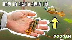 HOW TO FISH A SWIM JIG! ( BASS FISHING BASICS )