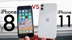 iPhone 11 Vs iPhone 8! (Should You Upgrade?) (Comparison) (Review)